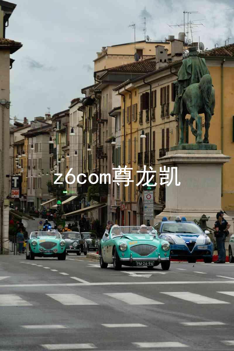 z6com尊龙凯